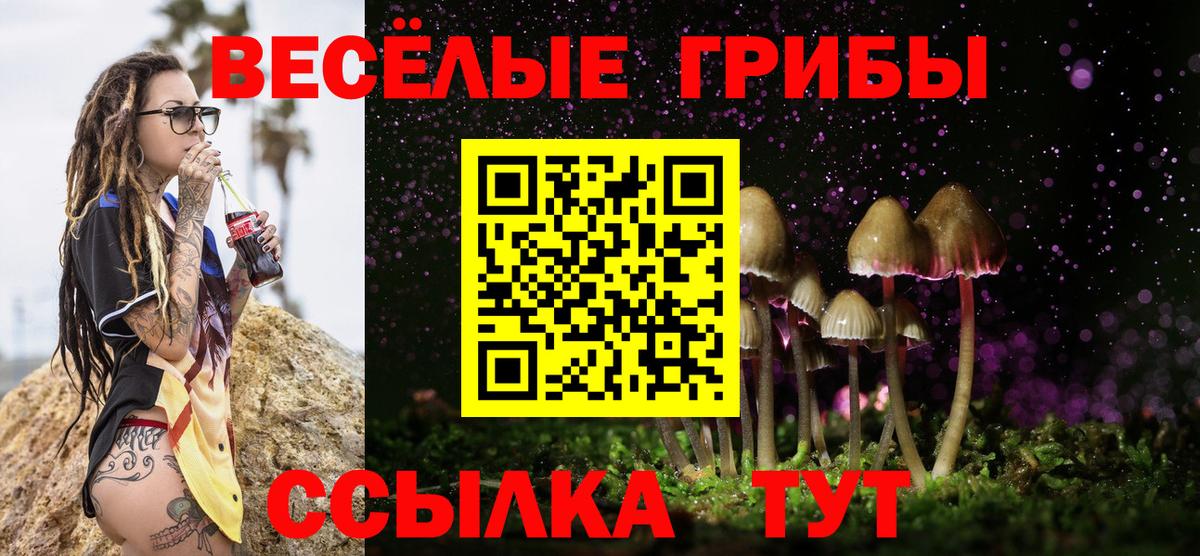 Ефремов  Галлюциногенные грибы Cubensis  Вход с VPN 